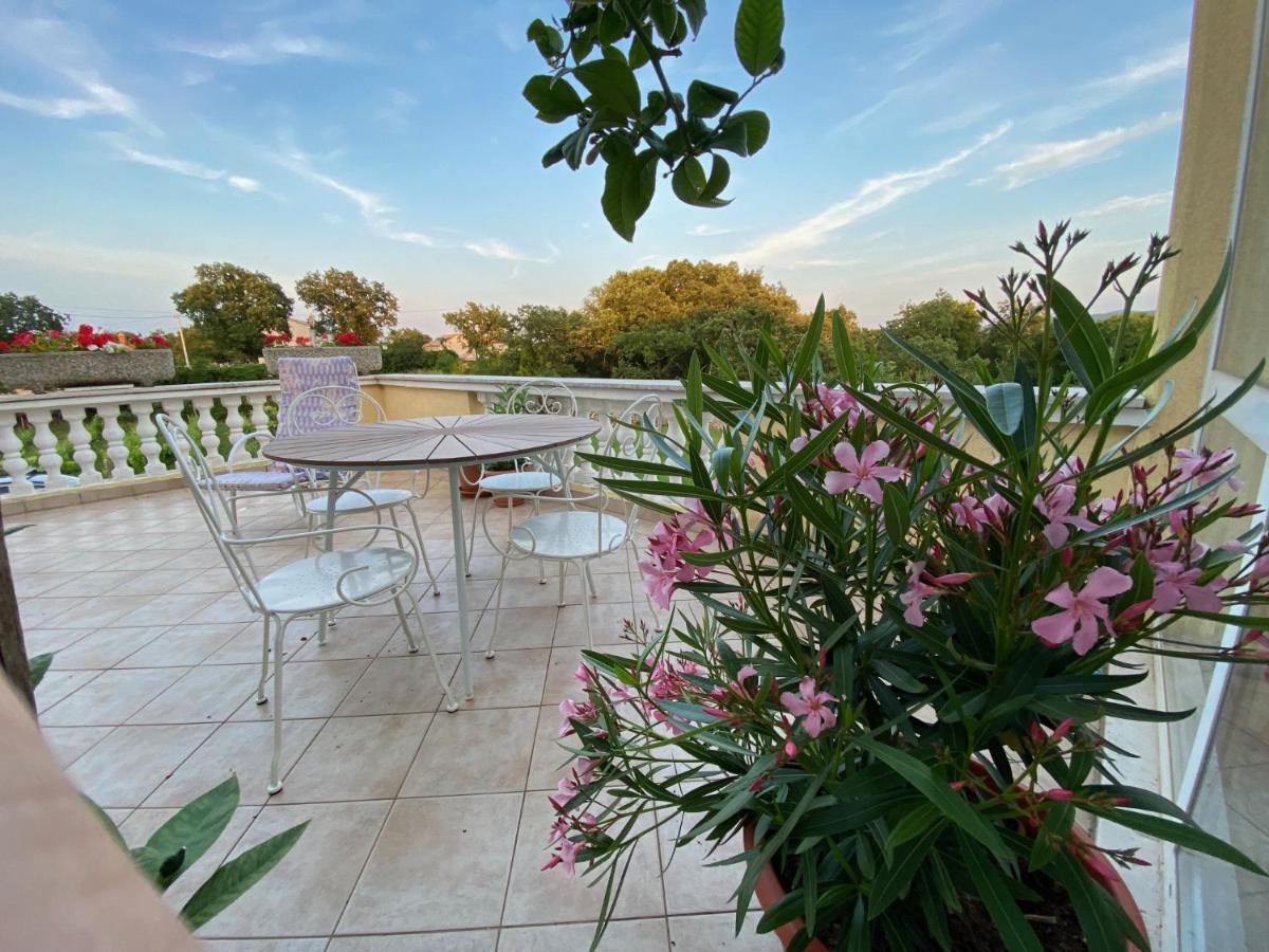Villa Yucca Istra Labin  Exteriör bild